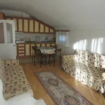 Hotel Cicek &