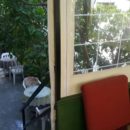 Cicek & Fethiye